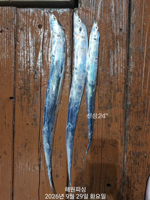 1000037072.jpg