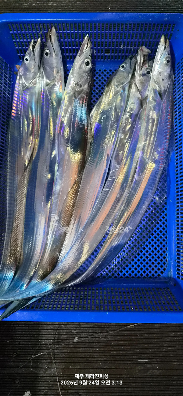 1000060014.jpg