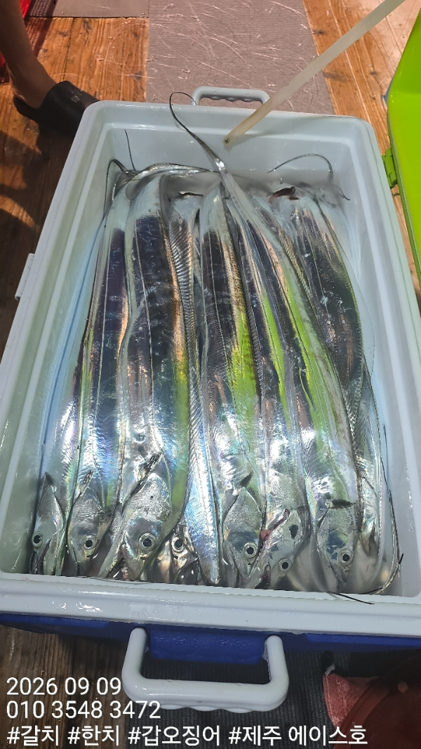 KakaoTalk_20260909_110440894_09.jpg