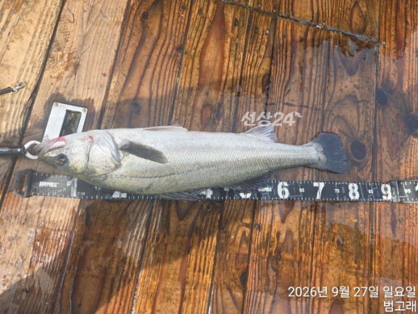 KakaoTalk_20260927_162401879_04.jpg