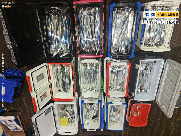 2026-09-03 03.35.44__(제목-진해블루마린낚시)_(예약전화 010 8924 3131).jpg