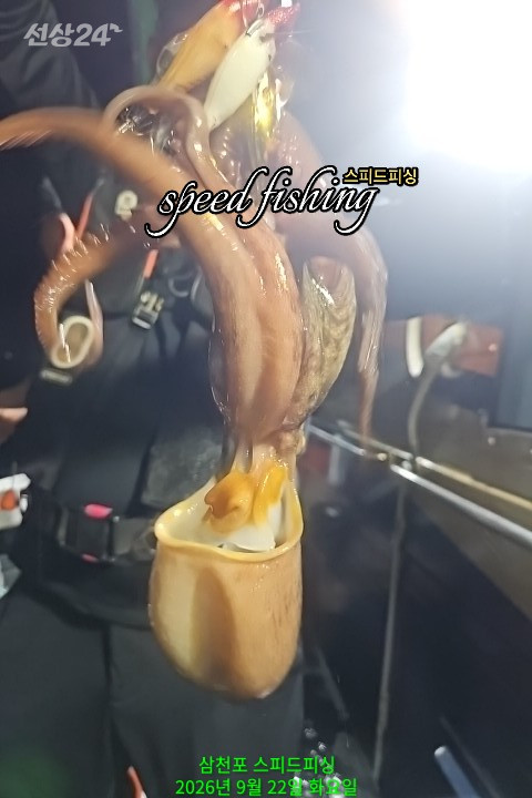 KakaoTalk_20260923_085850239_10.jpg