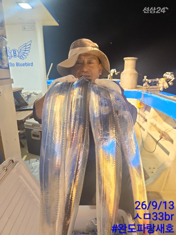 완도파랑새호(블루버드)_사진_20260913_15.jpg