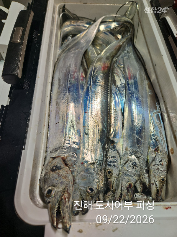 KakaoTalk_20260922_052858939_18.jpg