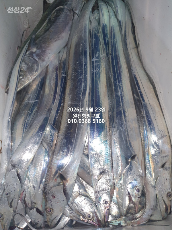 KakaoTalk_20260923_112349414_07.jpg