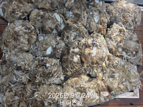 KakaoTalk_20260924_184035599.jpg