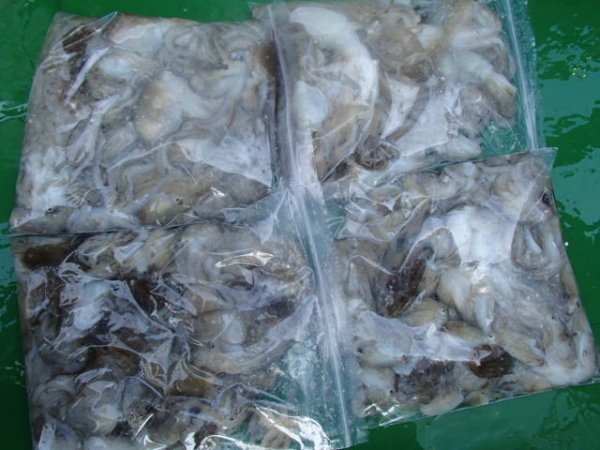 106.JPG