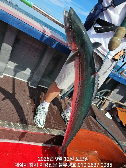 20260912_140305.jpg