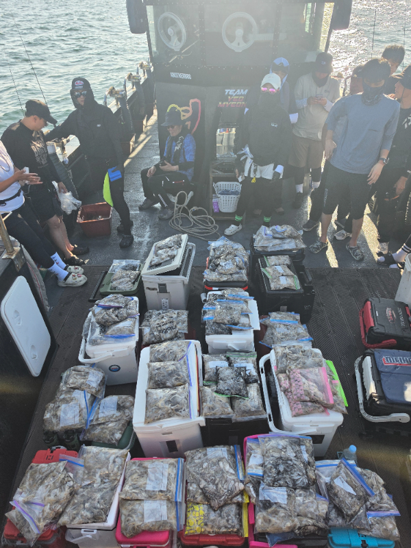 8686.jpg