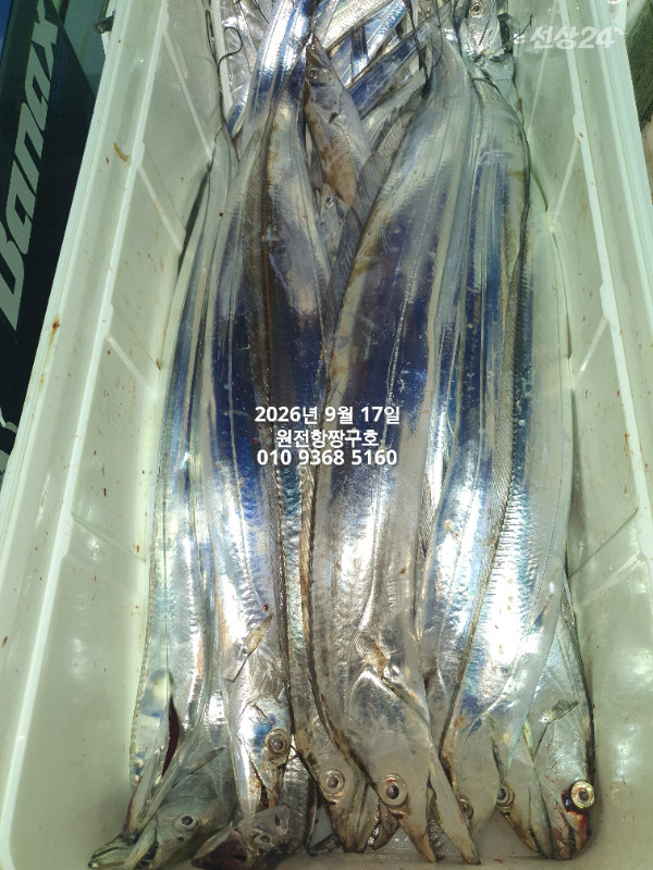 KakaoTalk_20260917_043520568_06.jpg