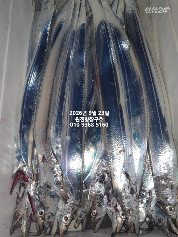 KakaoTalk_20260923_112349414_03.jpg