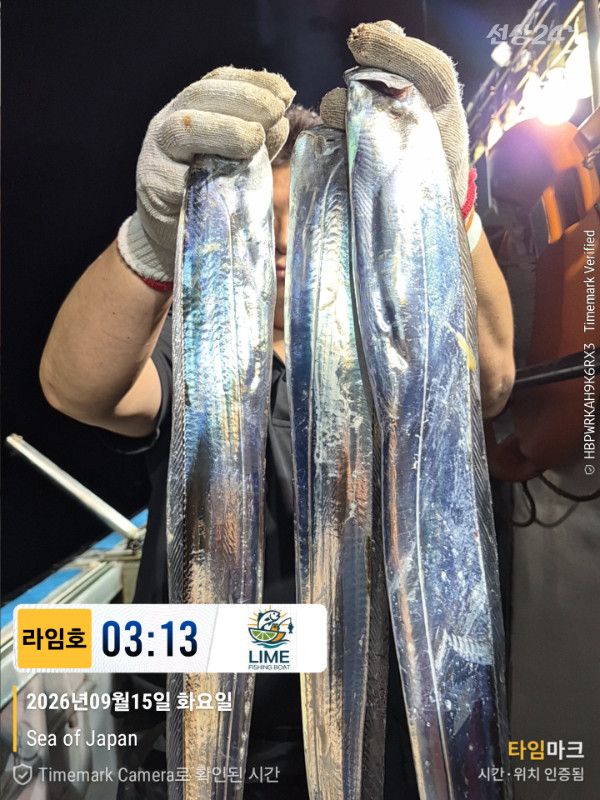 KakaoTalk_20260915_093234679_23.jpg