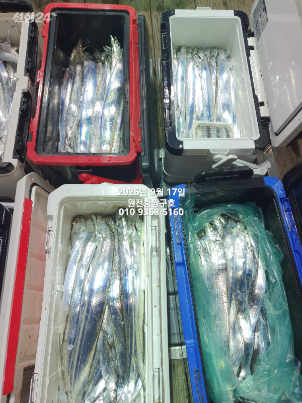 KakaoTalk_20260917_043448708_07.jpg
