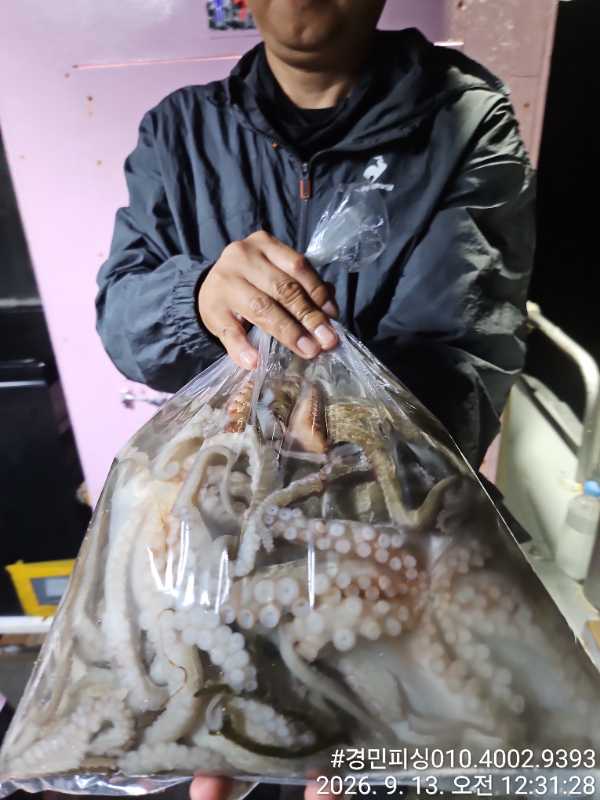 17535.jpg