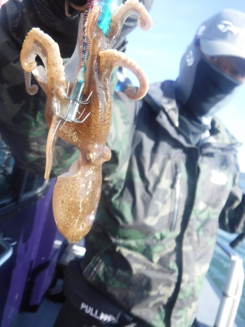 일괄편집_8.jpg