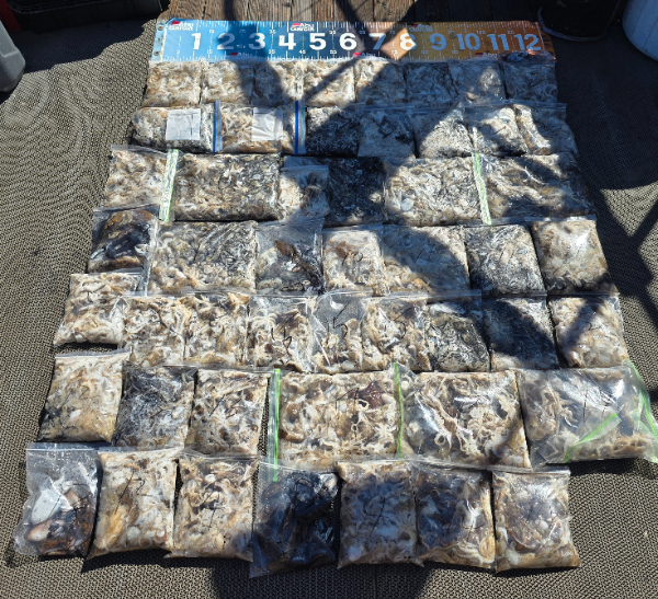 20260906_145239.jpg