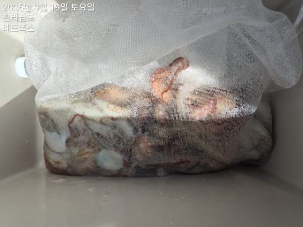 레드폭스피싱_사진_20260919_46.jpg