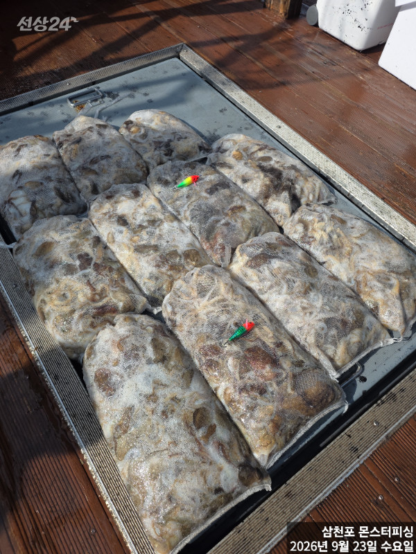 1000049737.jpg