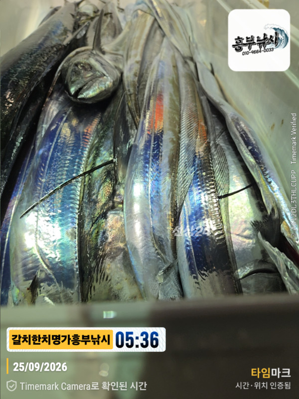 2026-09-25 05.36.58__(제목-갈치한치명가흥부낚시).jpg
