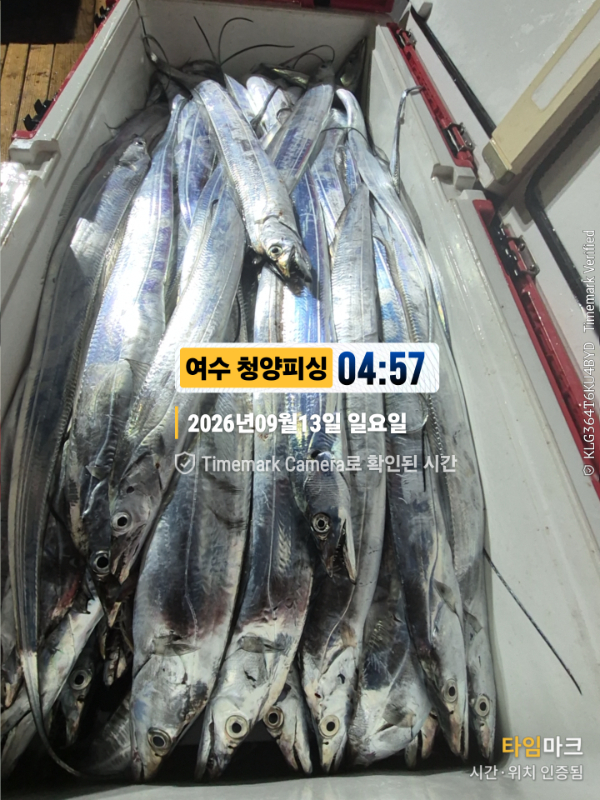 2026-09-13 04.57.10__(제목-여수 청양피싱).jpg