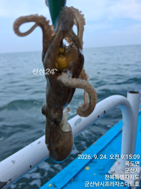 KakaoTalk_20260924_095936879_06.jpg