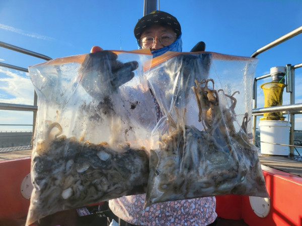 군산 선상낚시, 바다낚시 출조 전문 ☆서군산낚시☆_사진_20260914_11.jpg