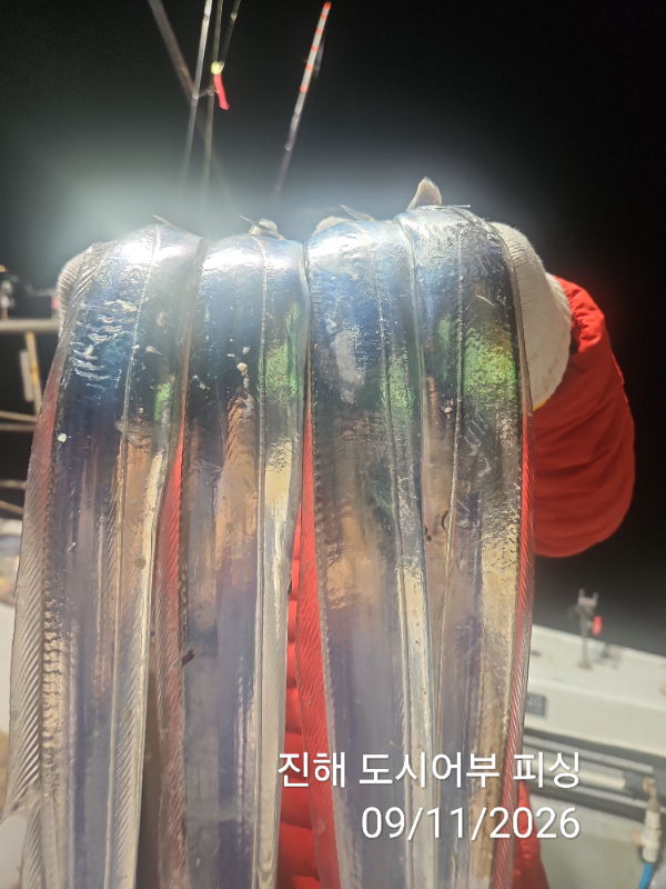 KakaoTalk_20260911_050759490_06.jpg