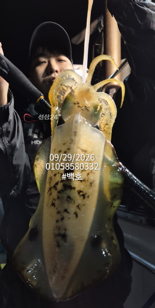 88131.jpg