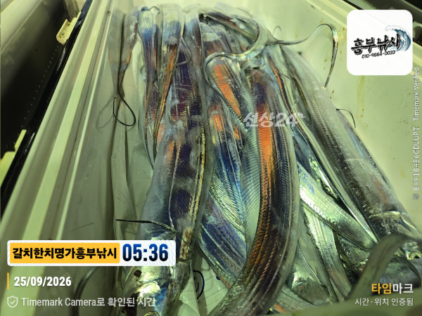 2026-09-25 05.36.48__(제목-갈치한치명가흥부낚시).jpg