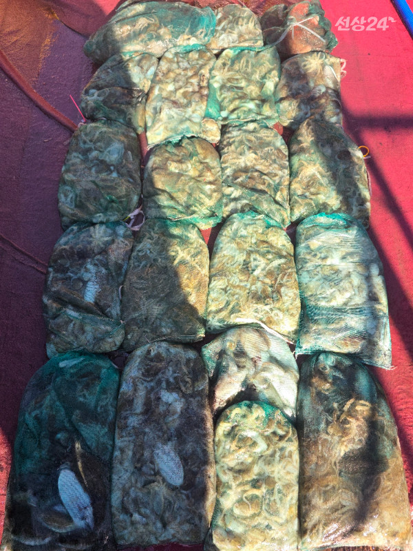 20260914_161148.jpg