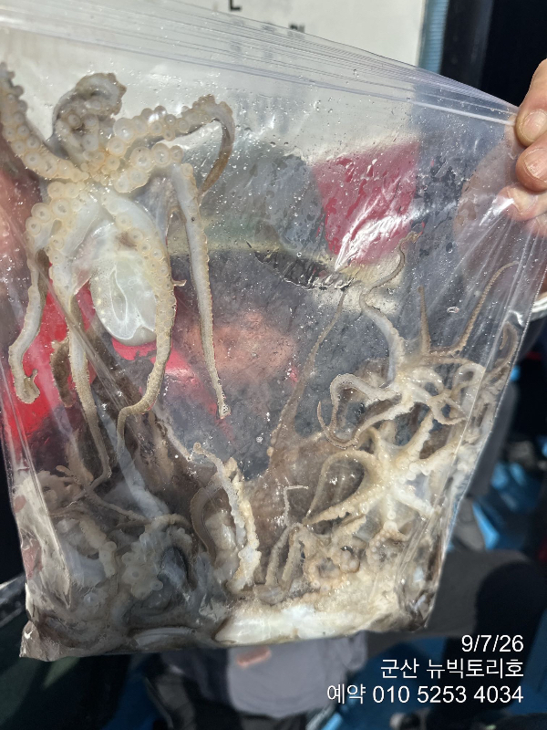 IMG_4522.jpeg