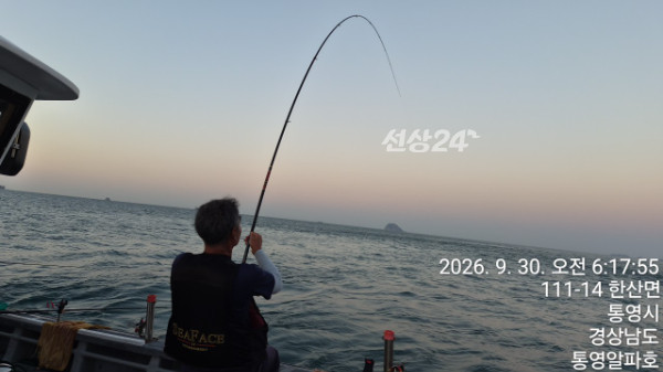 61591.jpg