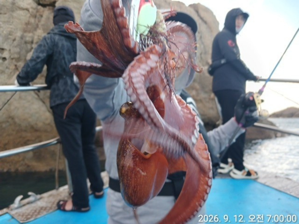 KakaoTalk_20260912_072742401.jpg