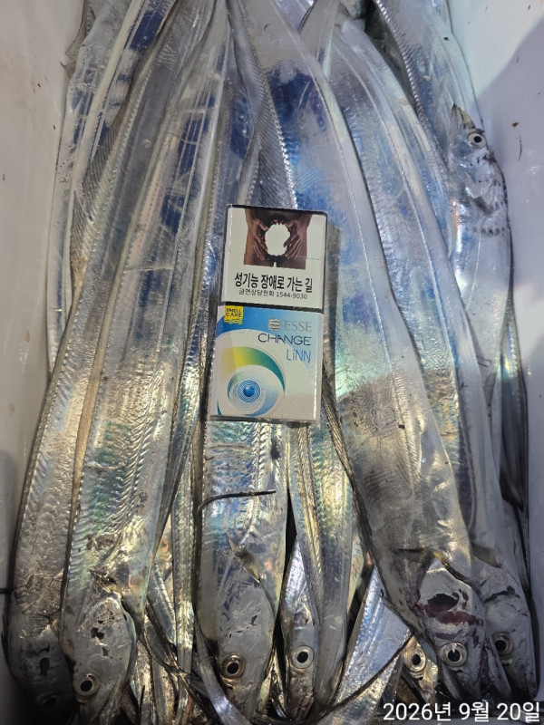 1000397991.jpg