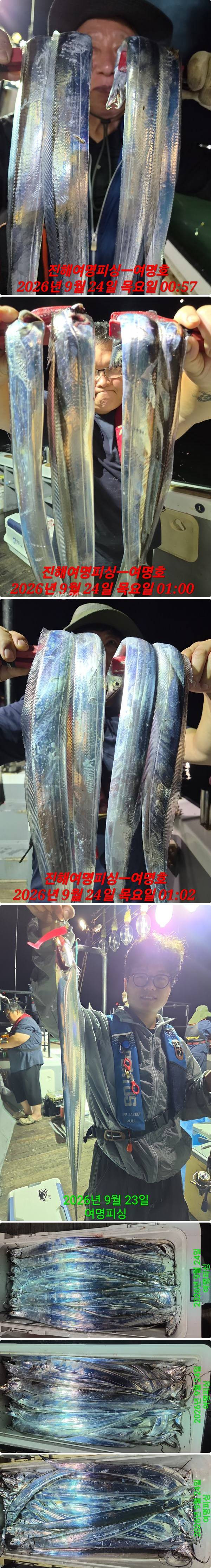 24일갈치중.jpg