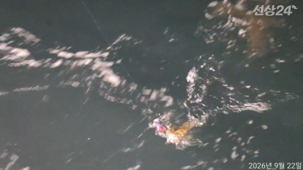TimeVideo_20260922_192816.jpg