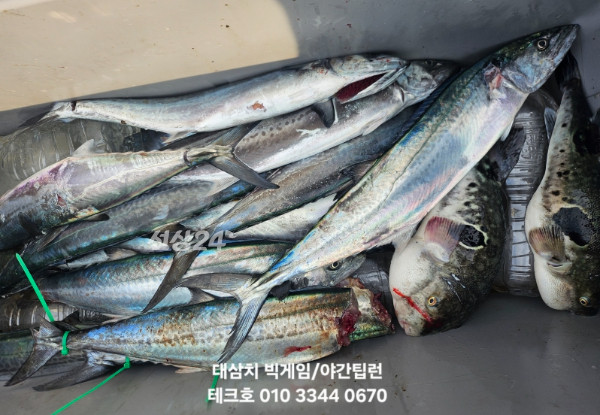 KakaoTalk_20260924_180919606_17.jpg
