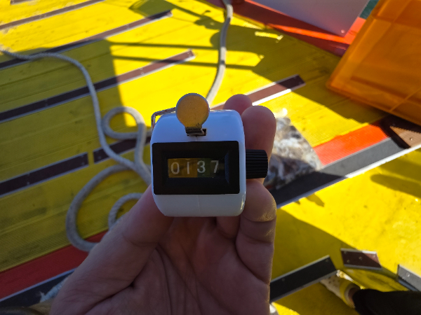 1000021827.jpg