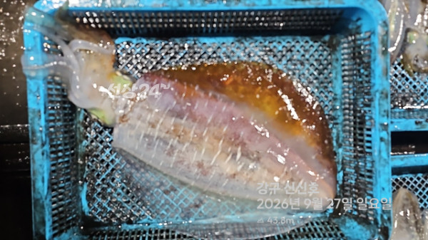 신신낚시 강구점 신신호_사진_20260927_9.jpg