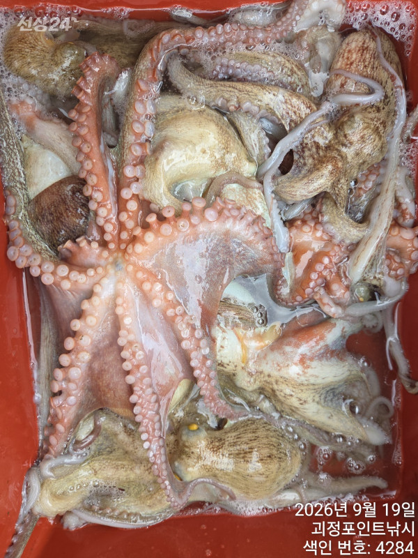 KakaoTalk_20260920_162157469_14.jpg