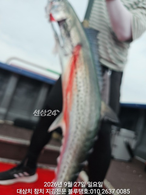 20260927_142555.jpg