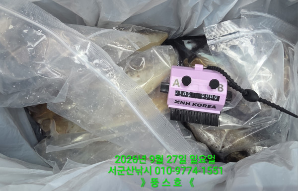 군산 선상낚시, 바다낚시 출조 전문 ☆서군산낚시☆_사진_20260927_3.jpg