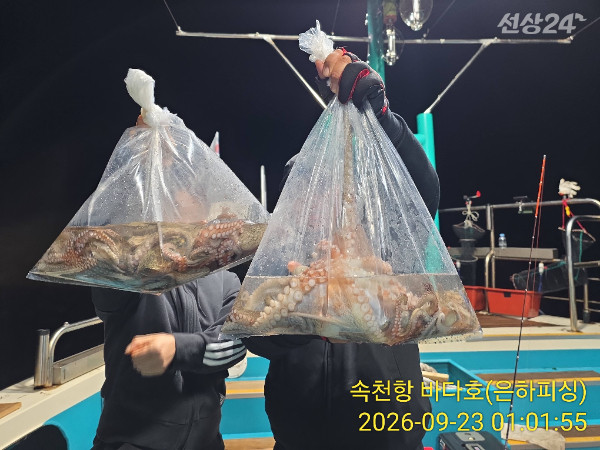 IMG_20260923_010155.jpg