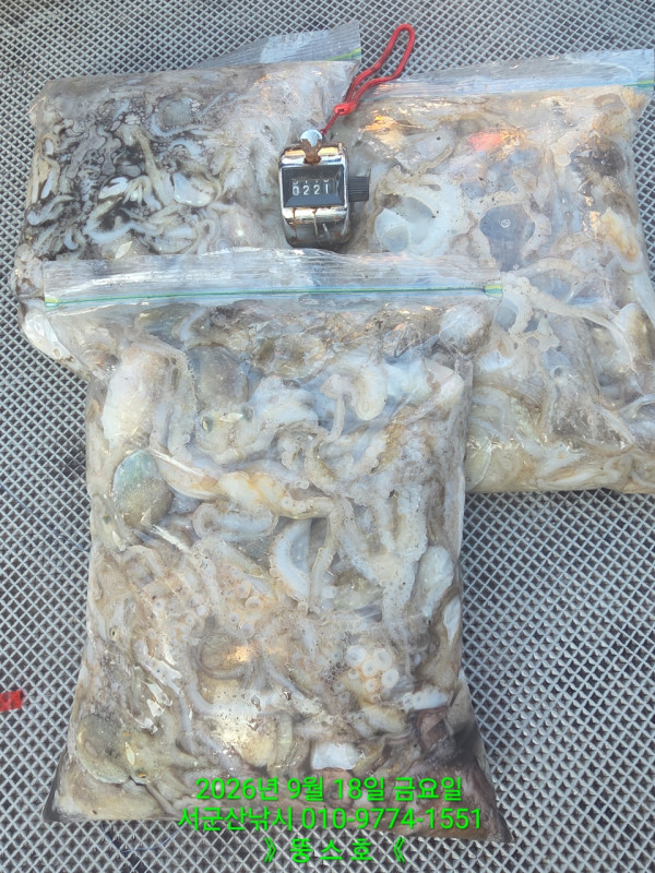 군산 선상낚시, 바다낚시 출조 전문 ☆서군산낚시☆_사진_20260918_2.jpg