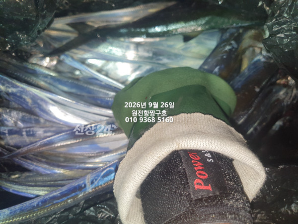 KakaoTalk_20260926_035150822_11.jpg