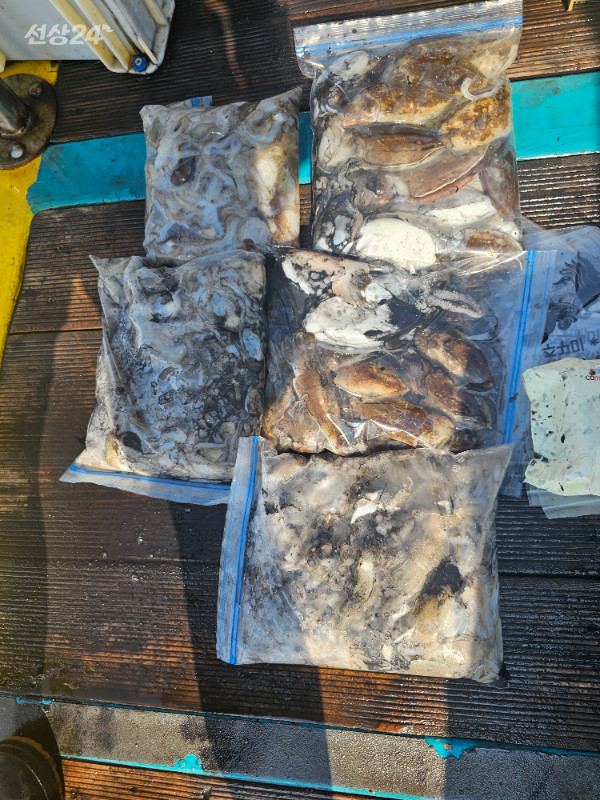 20260923_152222.jpg