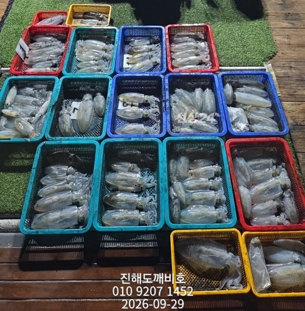 8711.jpg