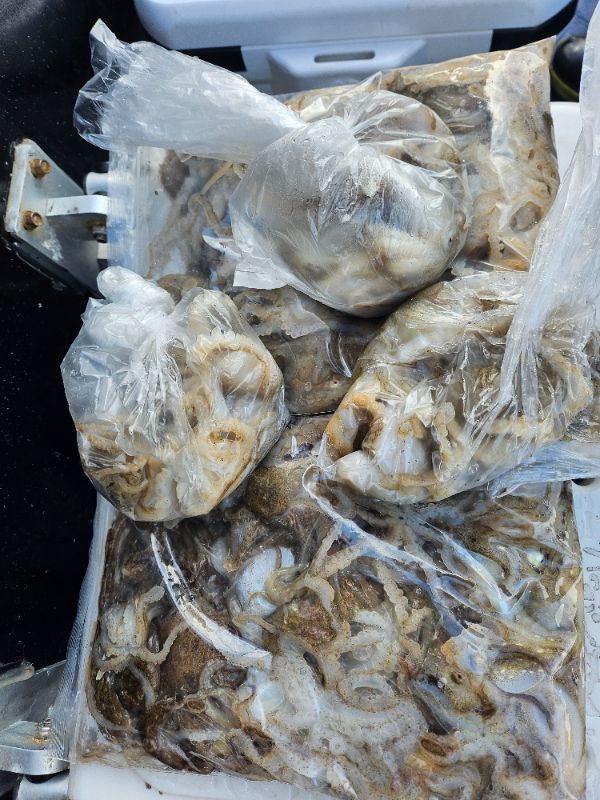 1312.jpg