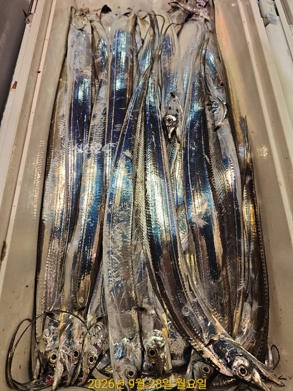 61CA255E-EEAE-4930-B88E-6CB7D857A68D.jpeg