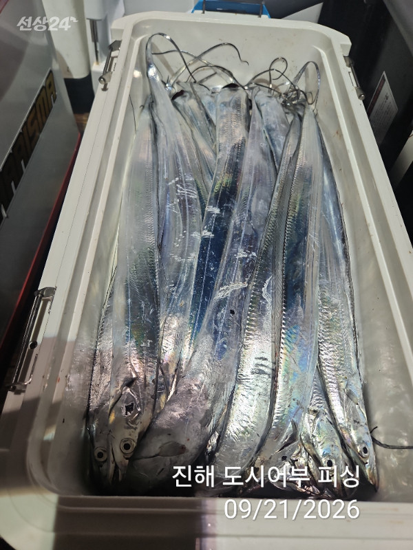 KakaoTalk_20260921_050735858_09.jpg